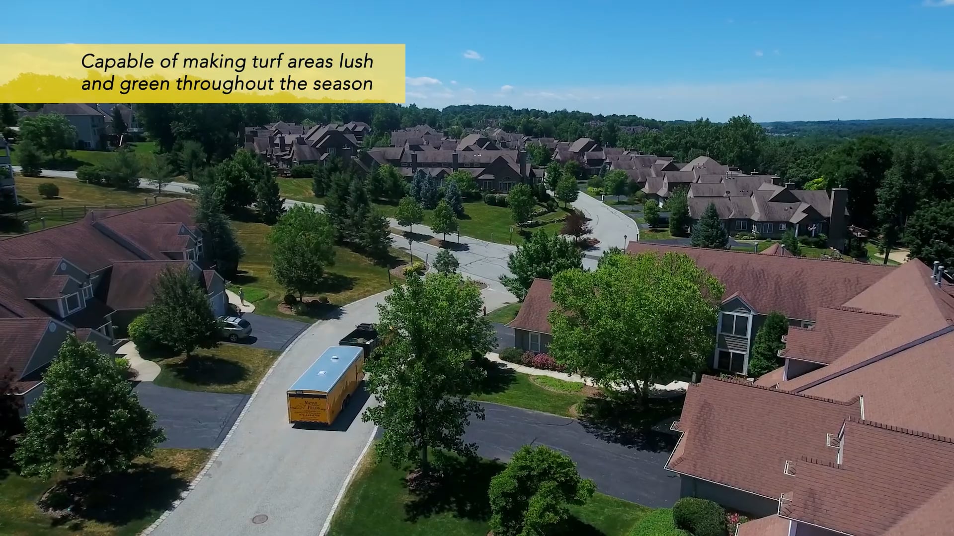 Native Fields Overview